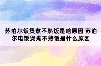 苏泊尔饭煲煮不熟饭是啥原因 苏泊尔电饭煲煮不熟饭是什么原因